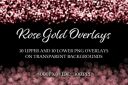 Rose_Gold_Overlays~5.jpg