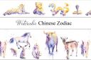 Round_Chinese_Calendar_Watercolor_Animal~0.jpg