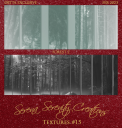 SS15-Forest-2.png