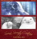 SS23-Owls.png