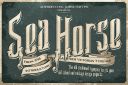 Sea_Horse_Typeface~1.jpg