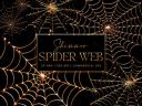 Shimmer_Spider_Web_Clipart_Bundle.jpg