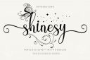 Shinesy~1.jpg