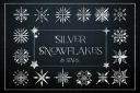 Silver_Snowflakes_Stars_Digital_Foil~5.jpg