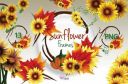 Sunflower_Frame_Graphics~1.jpg