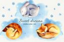 Sweet_Dreams_Watercolor_Set~1.jpg