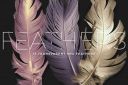 Transparent_Feathers_Overlays~3.jpg