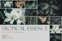 Tropical_Essence__Photo_Bundle~5.jpg