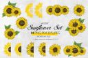 Vector_Sunflower_Clipart__Sunflower_EPS~0.jpg