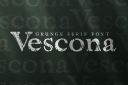 Vescona_-_Grunge_Serif_Font~1.jpg