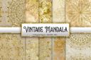 Vintage_Mandala_Glitter_Background~3.jpg