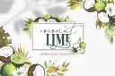 Watercolor_Coconut_Lime_collection~0.jpg