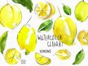 Watercolor_Lemon_Clipart~1.jpg