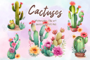 Watercolor_Pink_Cactus_Png.png