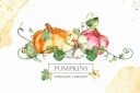 Watercolor_Pumpkins__Cards2C_frames2C_patterns~1.jpg