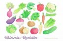 Watercolor_Vegetables_Clipart~1.jpg