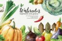 Watercolor_Vegetables_and_Greens_Clipart~0.jpg