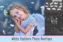 White_Feathers_Overlays~5.jpg