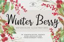 Winter_Berry_Watercolor_Illustrations~0.jpg