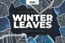 Winter_Leaves_-_Leaf_Overlays~0.jpg