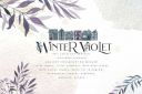 Winter_Violet_Collection.jpg