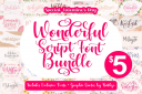 Wonderful_Script_Font_Bundle~1.png