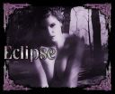 eclipse92.jpg