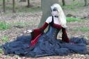 medieval_gothic_stock_by_mariaamanda-d51fto0.jpg