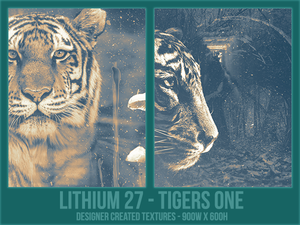 Pack 27 - Tigers One
