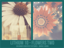 Li10_-_Flowers_Two.png