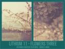 Li11_-_Flowers_Three.png