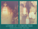 Li12_-_Flowers_Four.png