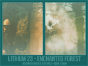 Li23_-_Enchanted_Forest.png