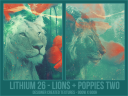 Li26_-_Lions_2B_Poppies_Two.png