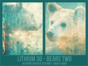 Li30_-_Bears_Two.png