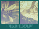 Li9_-_Flowers_One.png