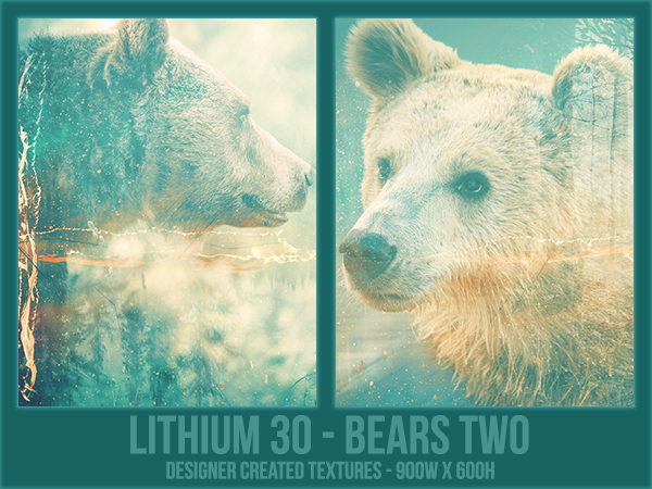 Lithium Textures: Bears Two [1500 Rebits]
