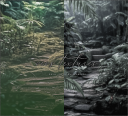 CassTexturesRainforests.png