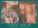 Li28_-_Tigers_Two.png