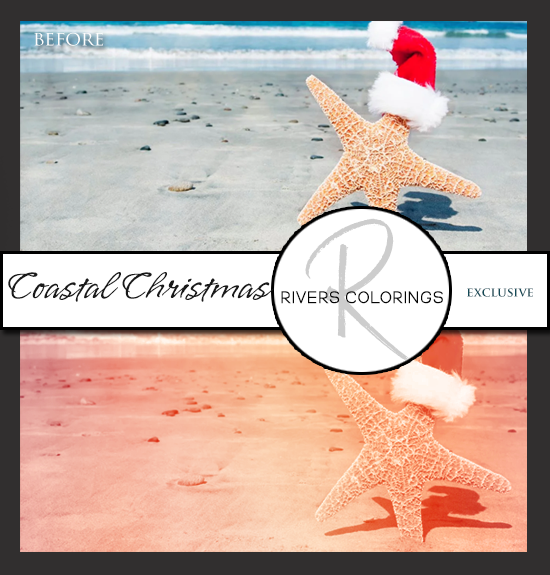 Coastal Christmas
