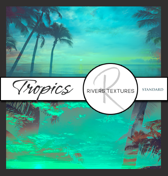 Tropics
