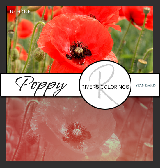 Poppy
