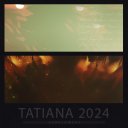 sunflowerspreview2024.png